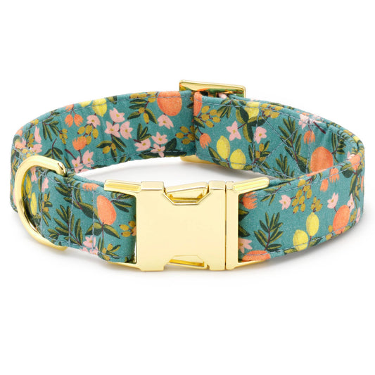 Rifle Paper Co. x TFD Citrus Floral Spring Dog Collar