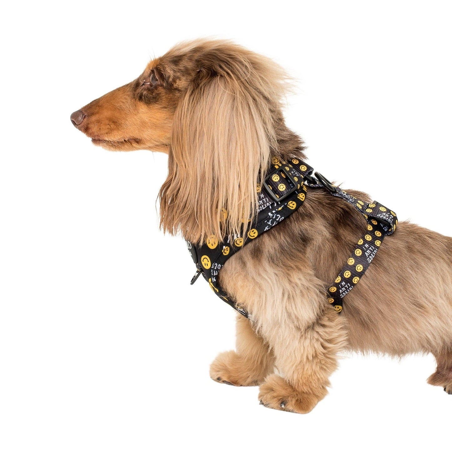 I'm Anti Social: ADJUSTABLE  DOG HARNESS